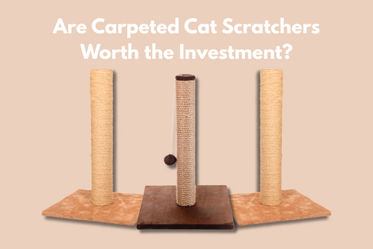 Are Carpeted Cat Scratchers Worth the Investment?