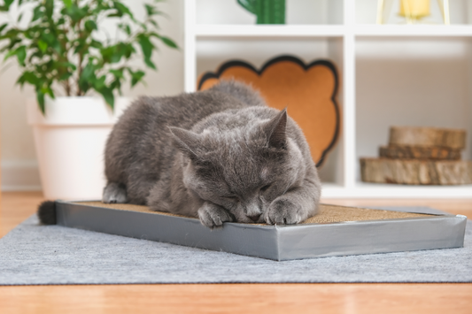 How to Make a Cat Scratcher Last Longer