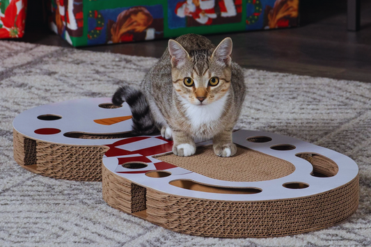 Teaching Cats to Use a New Scratcher Properly