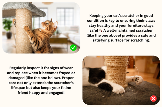 Extending the Life of Your Cat Scratcher