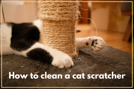How to Clean and Maintain a Cat Scratcher