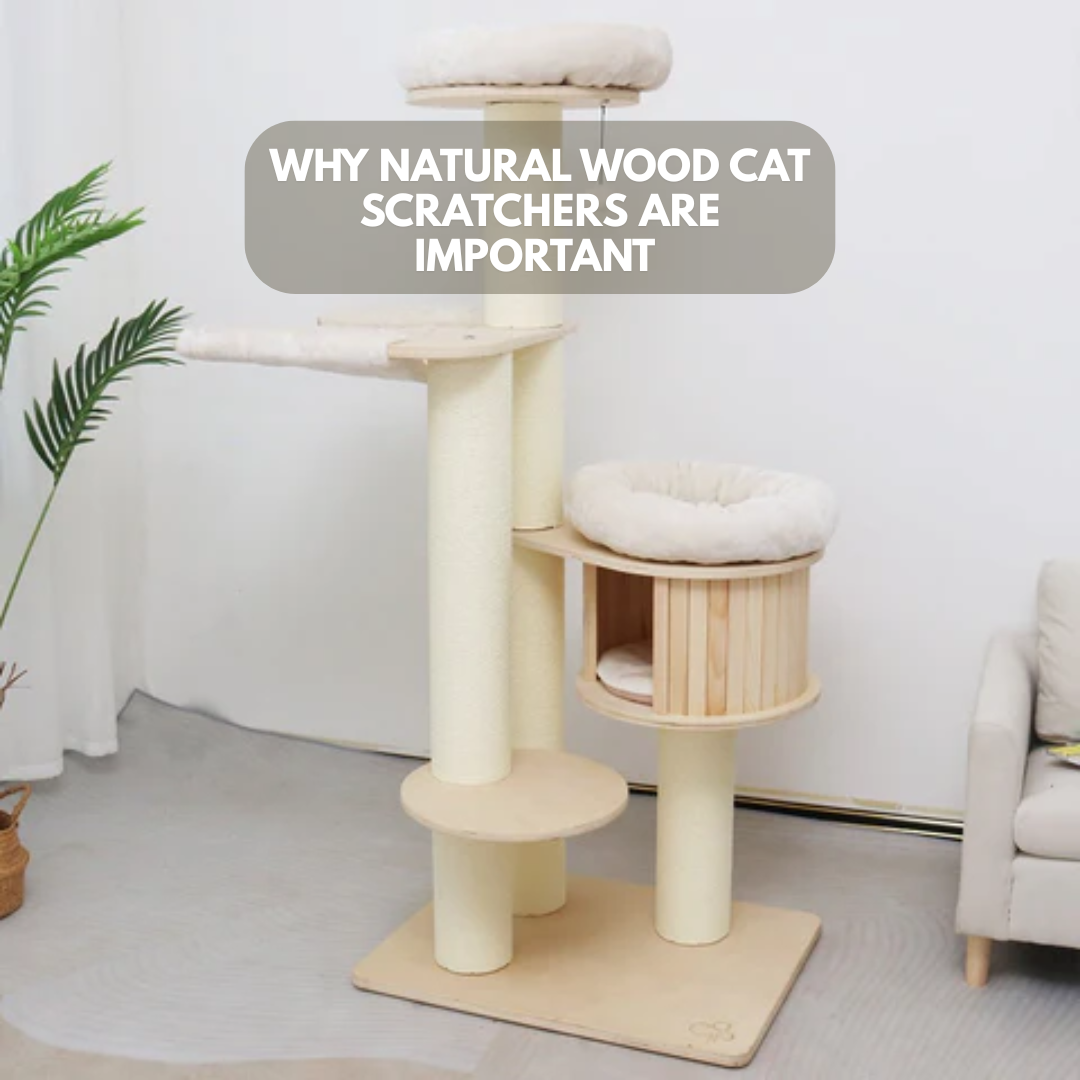 Benefits of Natural Wood Cat Scratchers