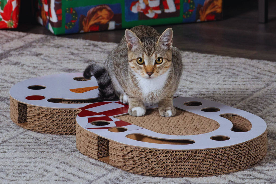 Teaching Cats to Use a New Scratcher Properly