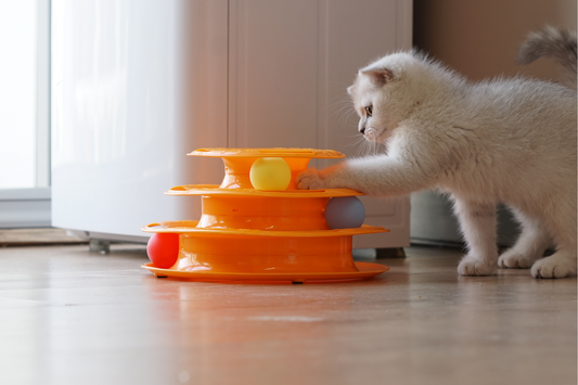 Combining Cat Toys with Cat Scratchers