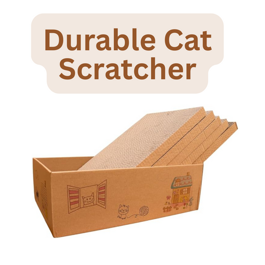The Durability of Corrugated Cardboard Scratchers.