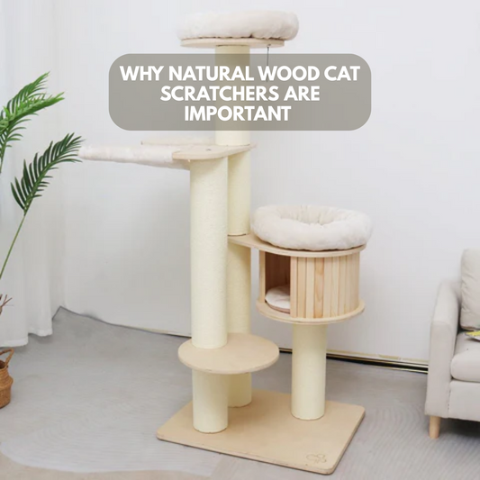 Benefits of Natural Wood Cat Scratchers