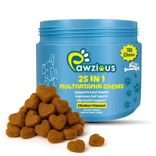 25 in 1 Multivitamin for Dogs, 100 Counts Dog Vitamins and Supplements for Joint Support, Digestion, Heart, Skin and Coat Care, (Chicken Flavor)
