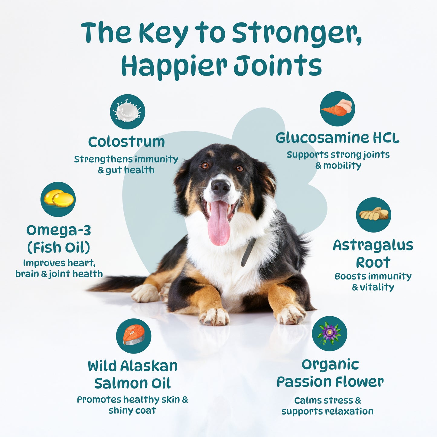 25 in 1 Multivitamin for Dogs, 100 Counts Dog Vitamins and Supplements for Joint Support, Digestion, Heart, Skin and Coat Care, (Chicken Flavor)