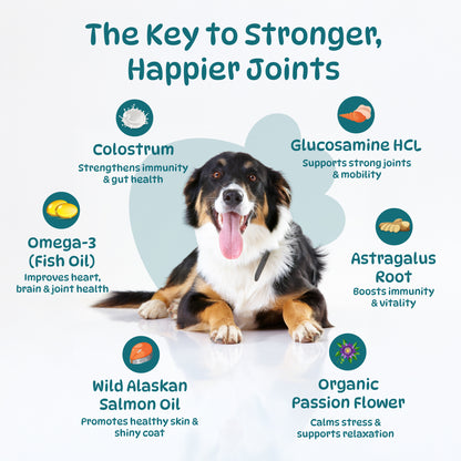 25 in 1 Multivitamin for Dogs, 100 Counts Dog Vitamins and Supplements for Joint Support, Digestion, Heart, Skin and Coat Care, (Chicken Flavor)