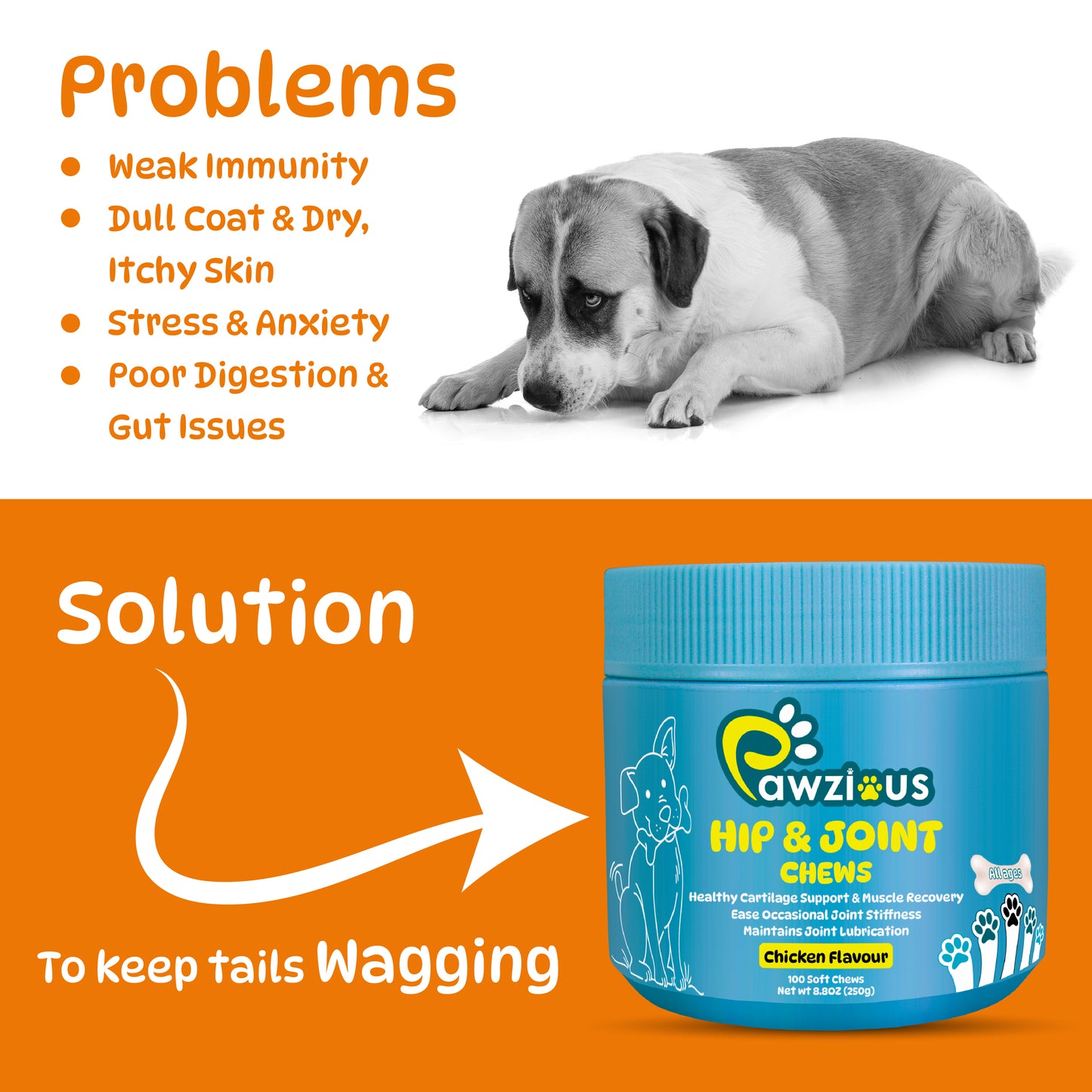 25 in 1 Multivitamin for Dogs, 100 Counts Dog Vitamins and Supplements for Joint Support, Digestion, Heart, Skin and Coat Care, (Chicken Flavor)