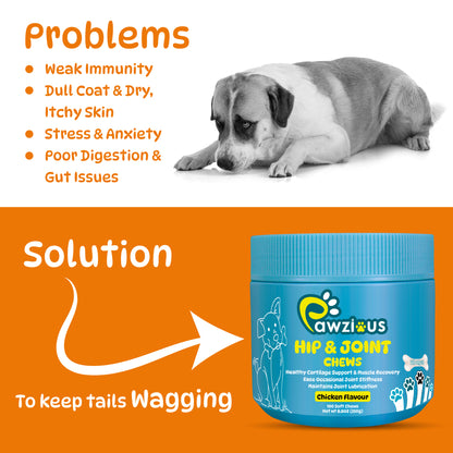 25 in 1 Multivitamin for Dogs, 100 Counts Dog Vitamins and Supplements for Joint Support, Digestion, Heart, Skin and Coat Care, (Chicken Flavor)