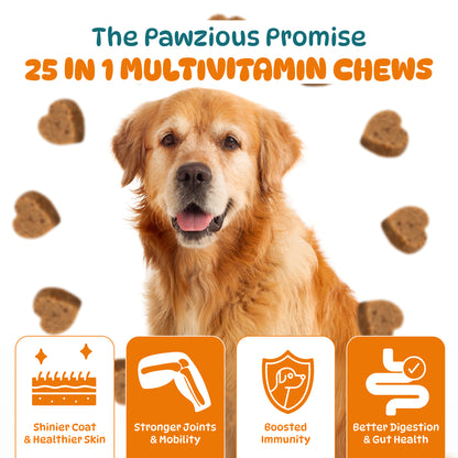 25 in 1 Multivitamin for Dogs, 100 Counts Dog Vitamins and Supplements for Joint Support, Digestion, Heart, Skin and Coat Care, (Chicken Flavor)