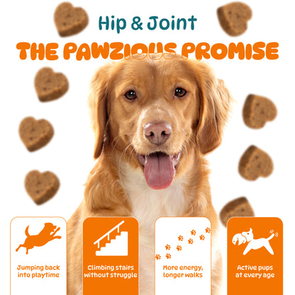 Dog Hip and Joint Supplements, Treats Improve Joint Function & Mobility in All Ages (Chicken Flavour 100 Chews)