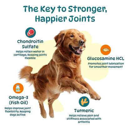Dog Hip and Joint Supplements, Treats Improve Joint Function & Mobility in All Ages (Chicken Flavour 100 Chews)