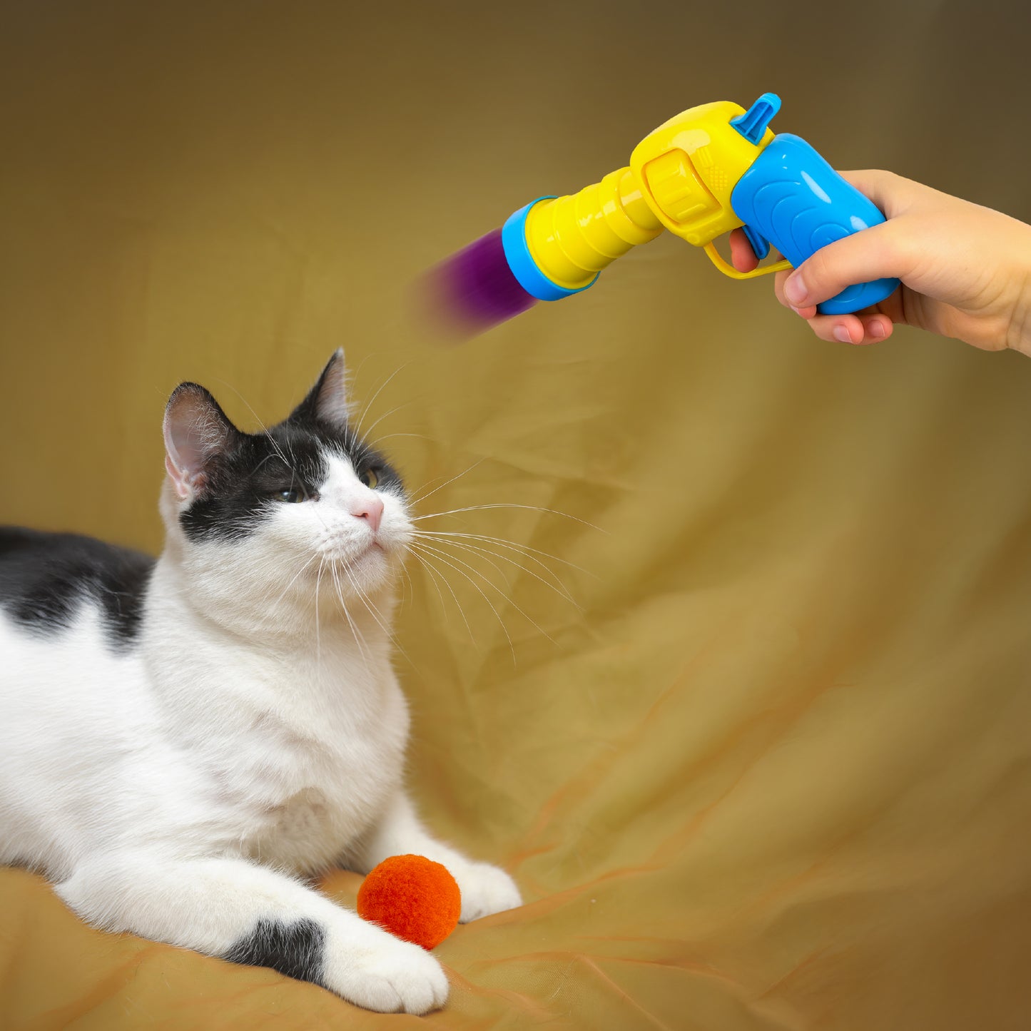50 Count 1.2 Inches Pom Pom Balls with Cat Ball Launcher