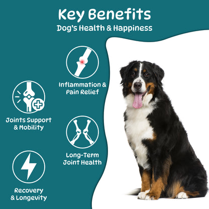 Dog Hip and Joint Supplements, Treats Improve Joint Function & Mobility in All Ages (Chicken Flavour 100 Chews)