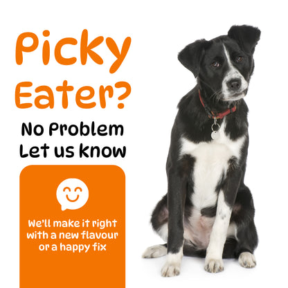 Dog Hip and Joint Supplements, Treats Improve Joint Function & Mobility in All Ages (Chicken Flavour 100 Chews)