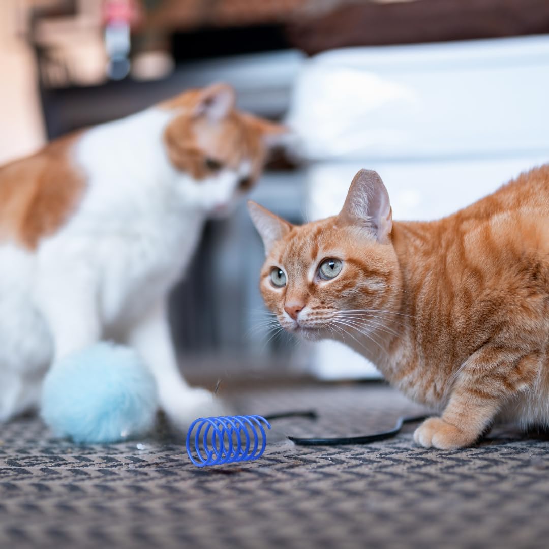 Shizhoo Cat Toy Spring, Large Spiral Coil