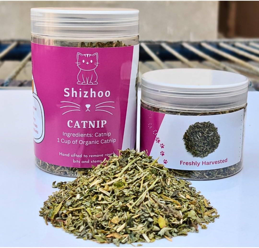 Shizhoo Catnip for Cats