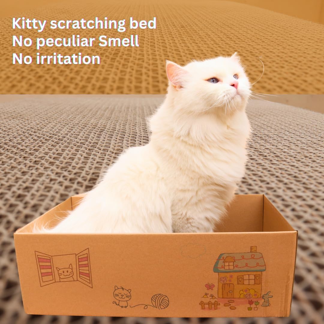 Shizhoo Cat Scratcher and Bed, Cat Scratch Pad with Box (5 in 1)