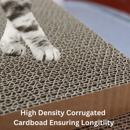 Shizhoo Cat Scratcher and Bed, Cat Scratch Pad with Box (5 in 1)