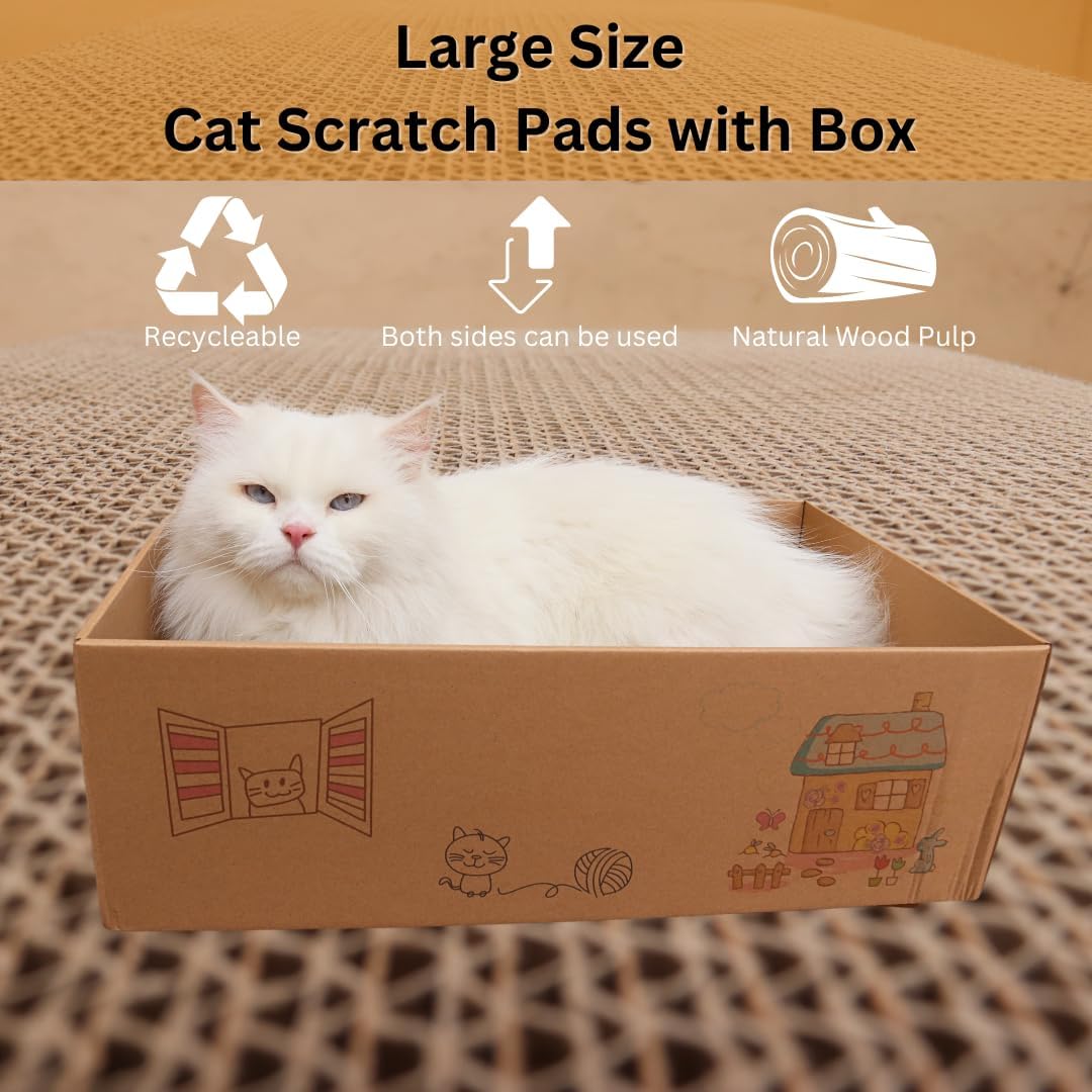 Shizhoo Cat Scratcher and Bed, Cat Scratch Pad with Box (5 in 1)